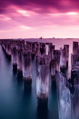 Download Website Password Organizer Princes Pier in Melbourne, Australia: Password/Login/Website Keeper/Organizer Never Worry about Forgetting Your Website Password or Login Again! -  | PDF