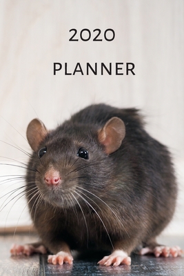 Read Online 2020 Planner (6x9inch): Rat 2020 Planner; I love Rats Planner; Cute Rat 2020 Planner; Rat Lovers Book; I Love Rats; 6x9inch with weekly view -  file in PDF