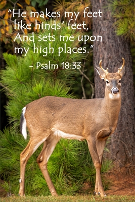 Download Psalm 18: 33 Scripture Journal: 120 page, 6 x 9, lined, verse footers, original, copyrighted, deer photograph on cover by author, paperback journal - Journals by Joyful Jan | PDF